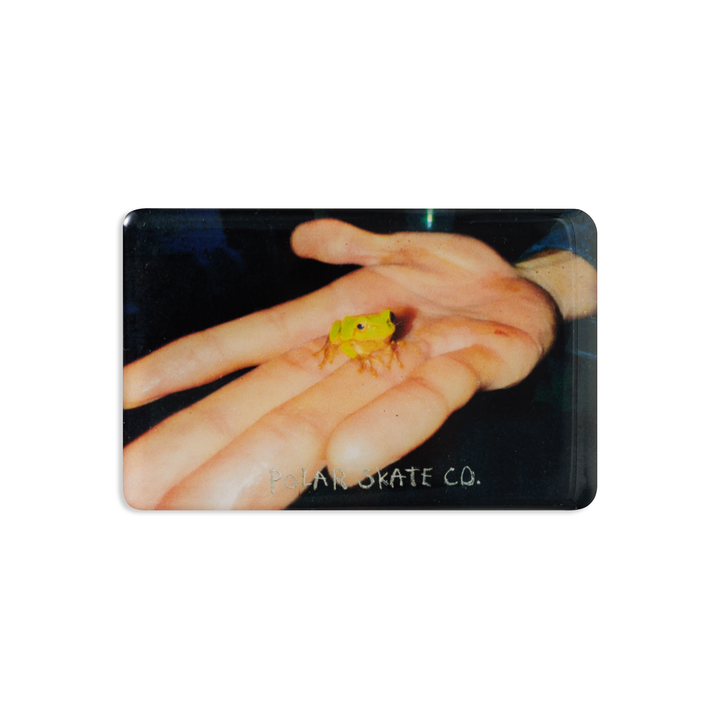 Magnet | Frog