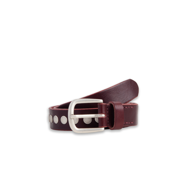 Niko Belt | Studs - Oxblood