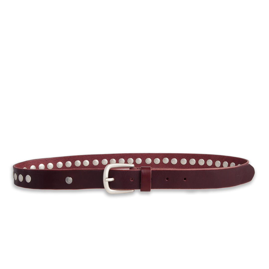 Niko Belt | Studs - Oxblood
