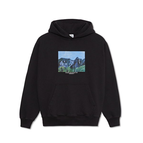 Polar online skateboards hoodie