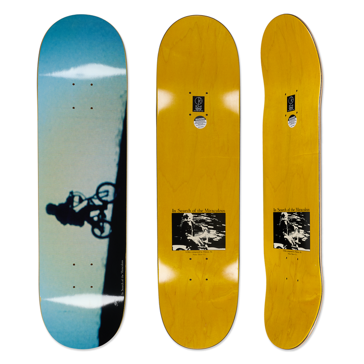 Collections – Polar Skate Co.